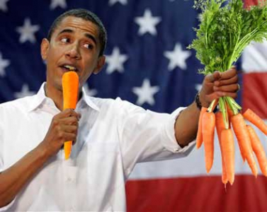 Should health reform be a carrot or a stick? photo