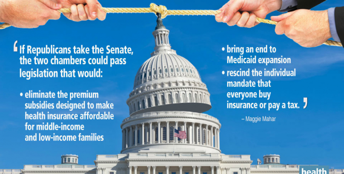 Future of reform may turn on Senate races
