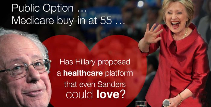 A healthcare plan that even Bernie could love?