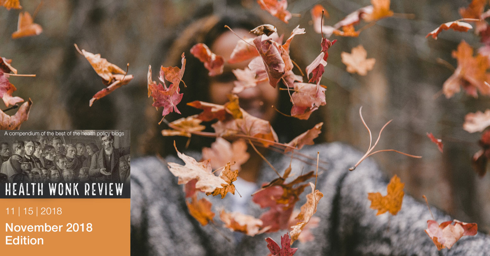 Health Wonk Review for November 15, 2018 photo