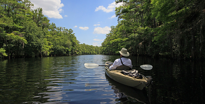 Short-term health insurance in Louisiana