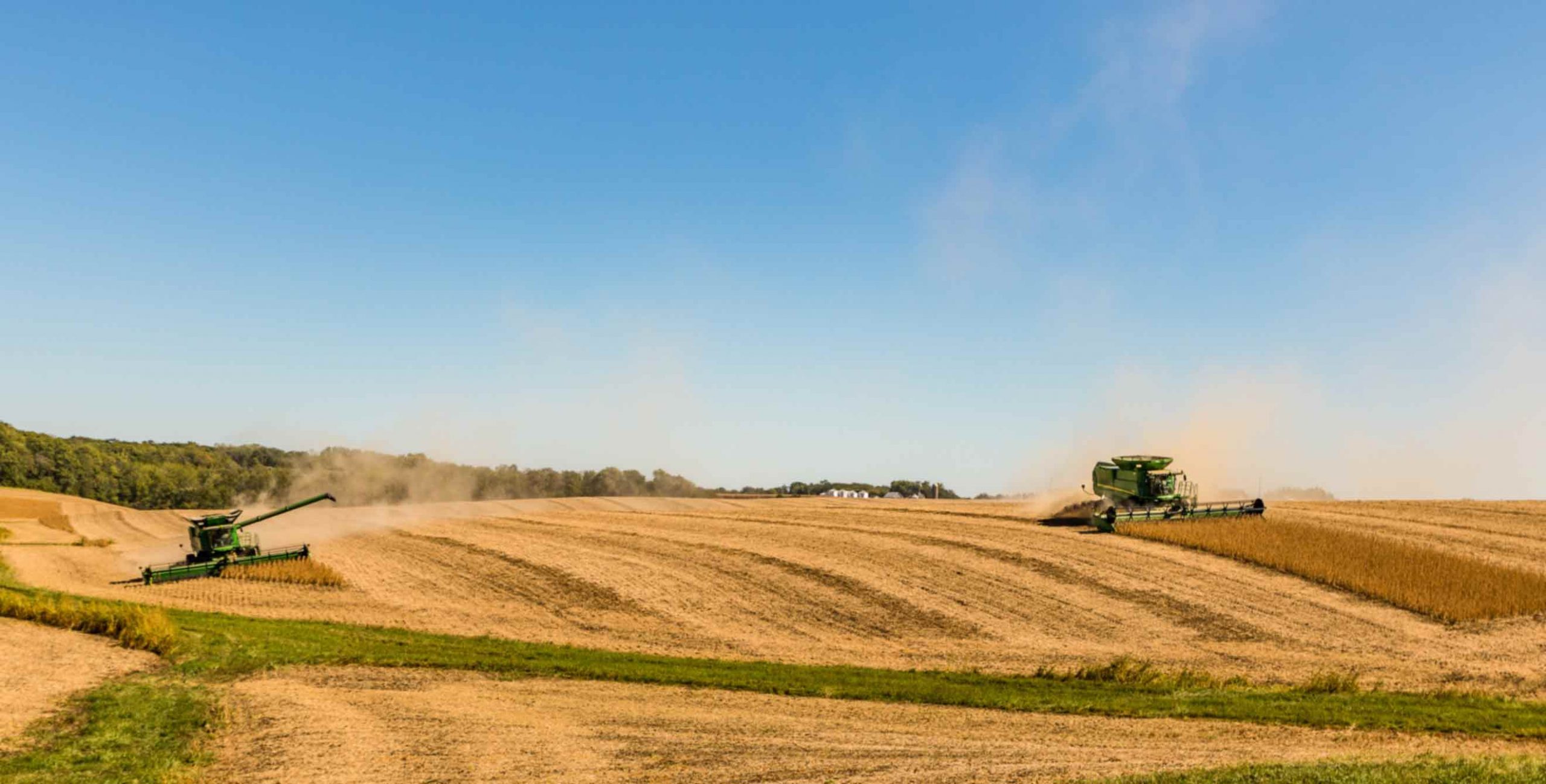 Overview of coverage options in Iowa