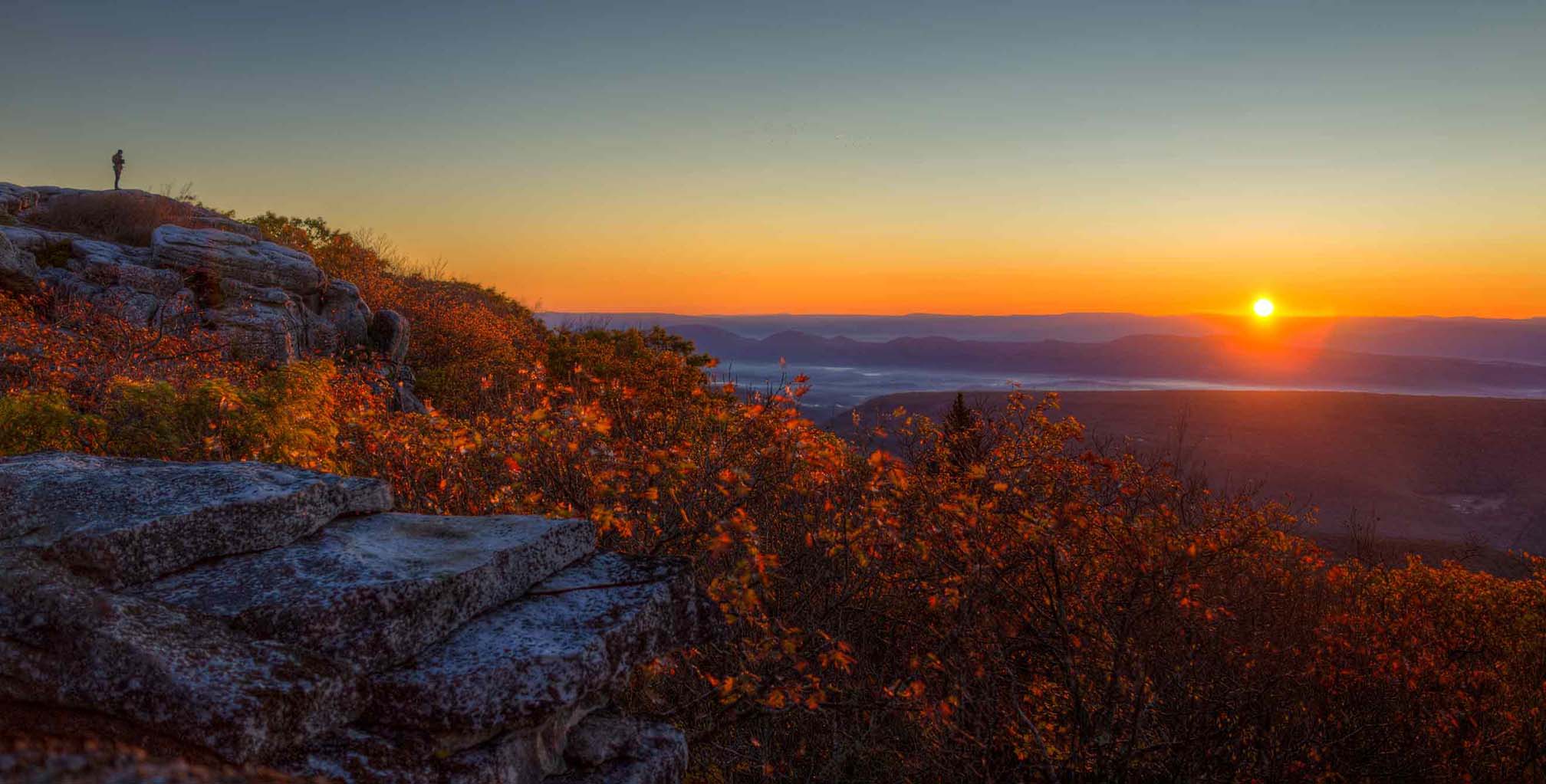 Overview of coverage options in West Virginia