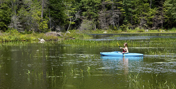 Short-term health insurance in New Hampshire