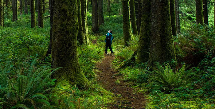 Short-term health insurance in Oregon
