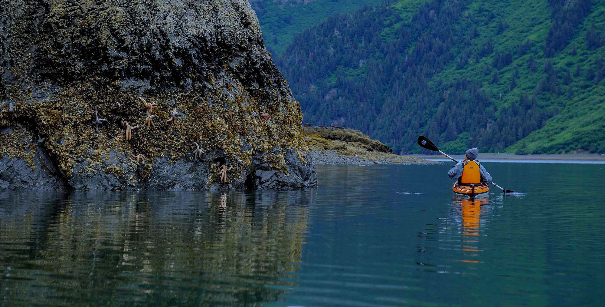 Alaska health insurance marketplace guide 2022 | healthinsurance.org