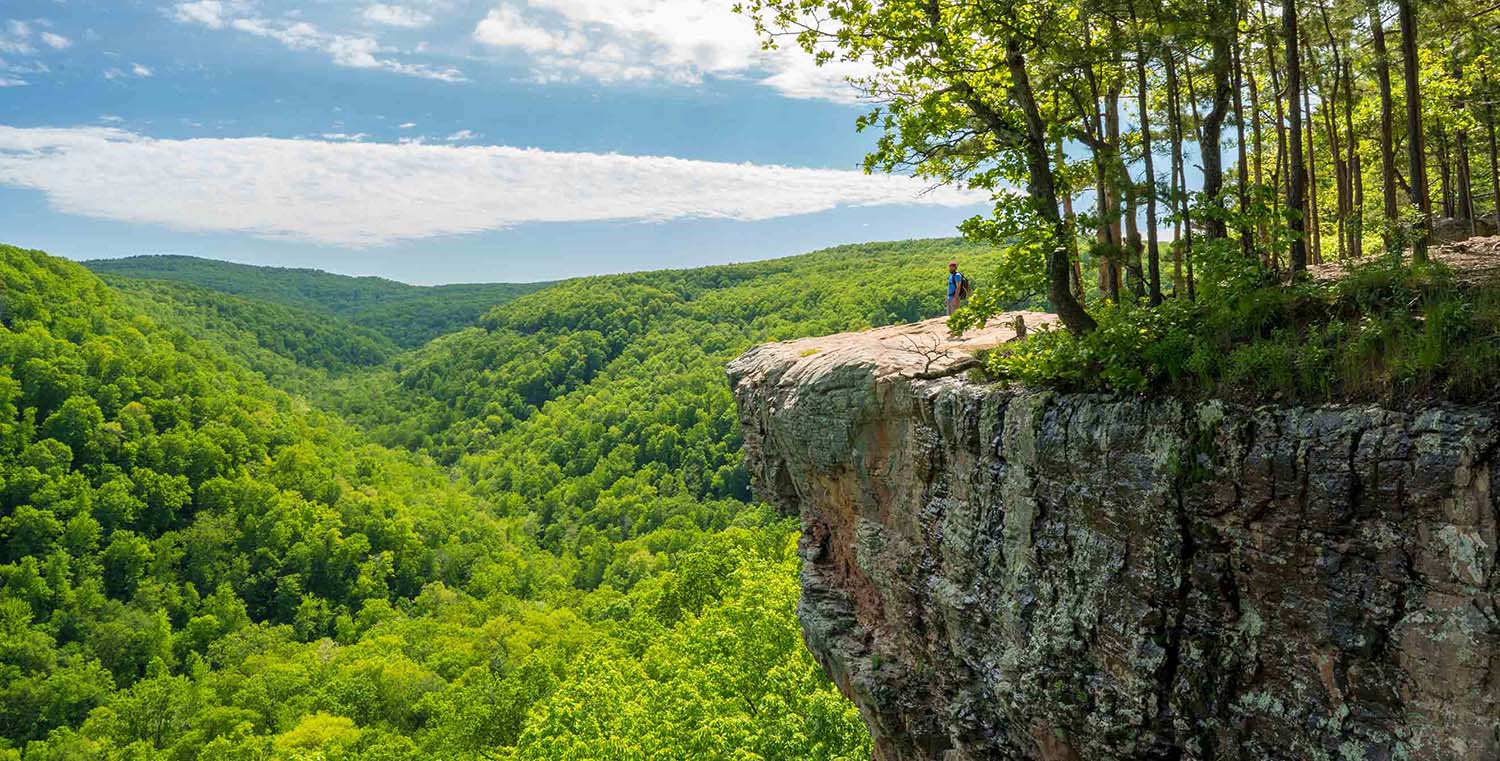 Overview of coverage options in Arkansas