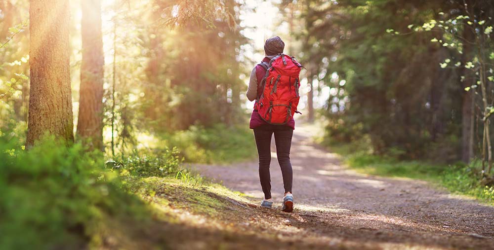 Missouri health insurance marketplace guide 2023