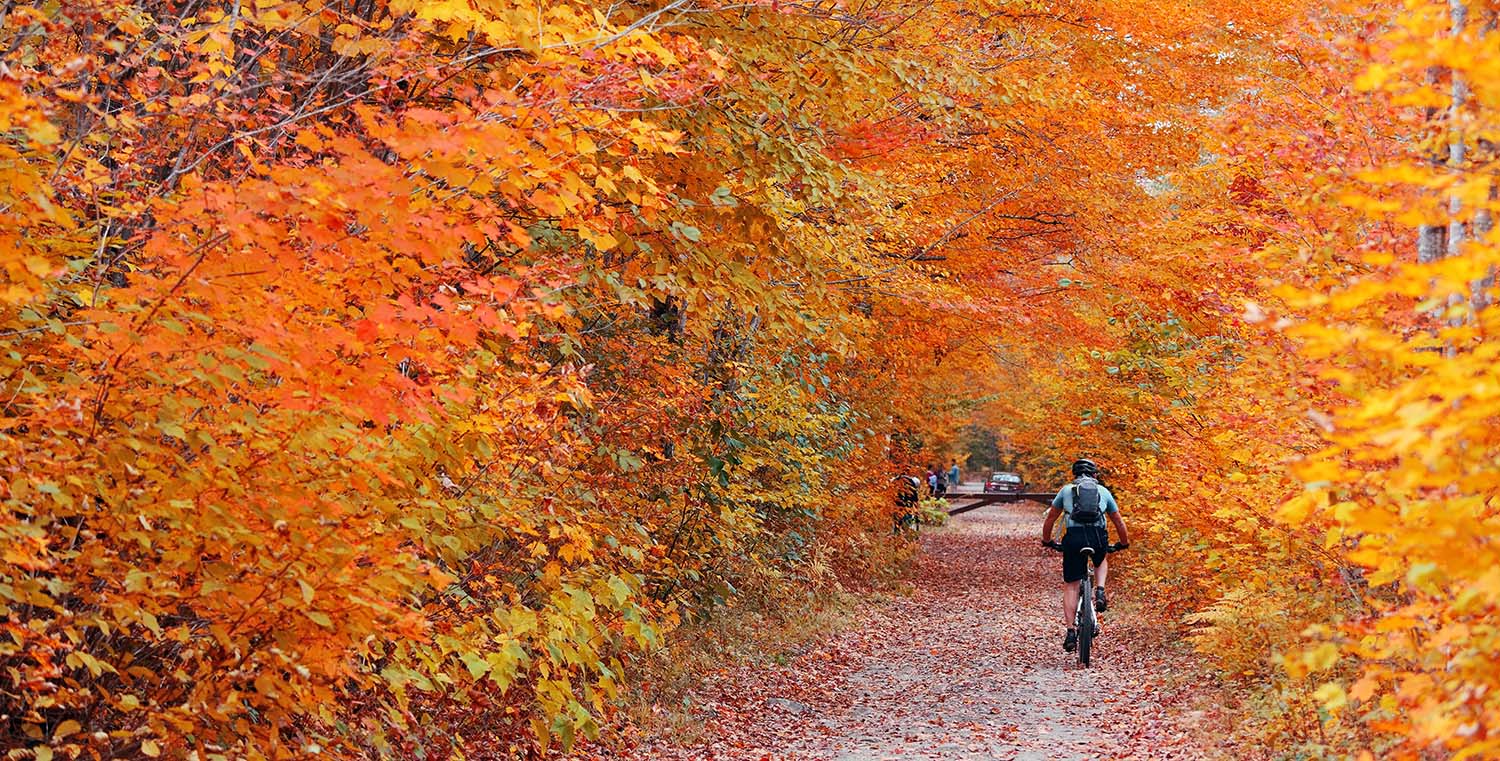 Overview of coverage options in New Hampshire