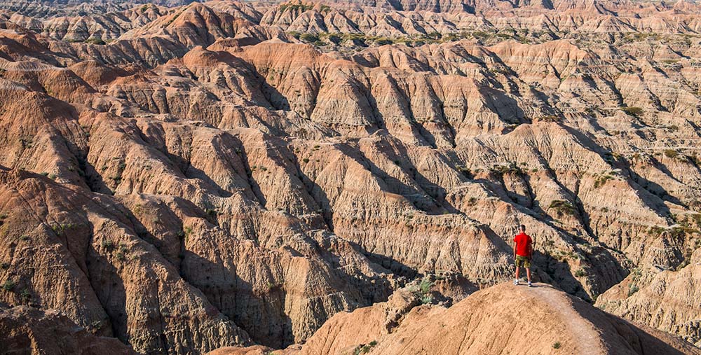 Overview of coverage options in South Dakota