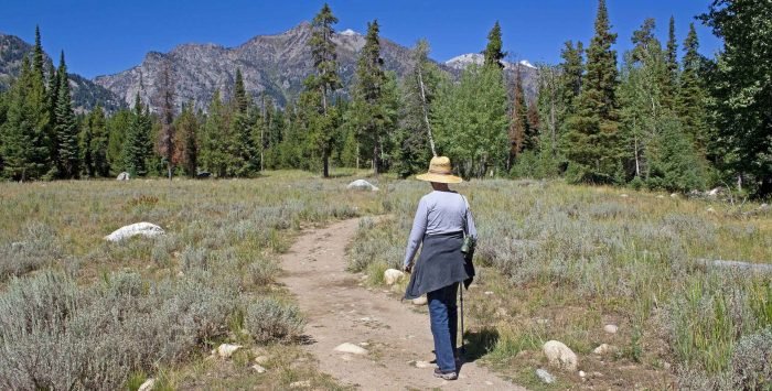 Financial help for Wyoming Medicare enrollees
