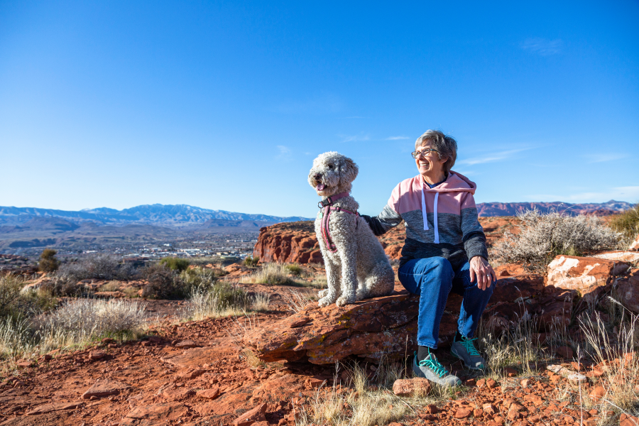 Arizona Medicare