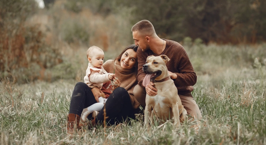 Medicaid eligibility and enrollment in New Jersey
