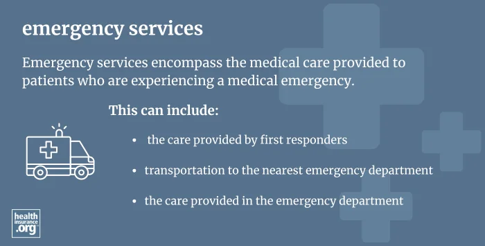 emergency services infographic